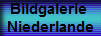 Bildgalerie 
Niederlande