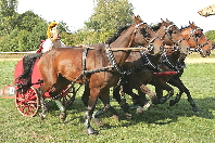 Wagenrennen_029_(Foto_Andreas_Lander)