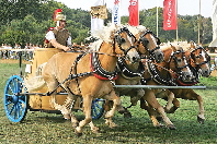 Wagenrennen_082_(Foto_Andreas_Lander)